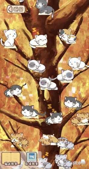 猫宅97