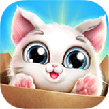 口袋猫咪 v1.1.0