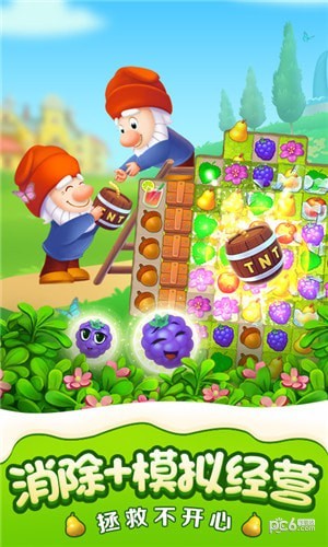 梦幻花园网红版