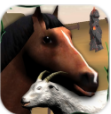 牧场动物模拟器 v1.05