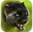 猎豹模拟器OL v1.2