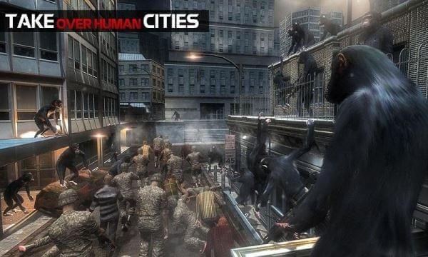 猿人的生存法则 猿人的生存法则