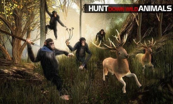 猿人的生存法则