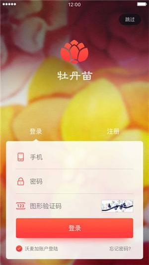 国商通牡丹苗下载