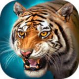 虎王模拟器 v1.4.8