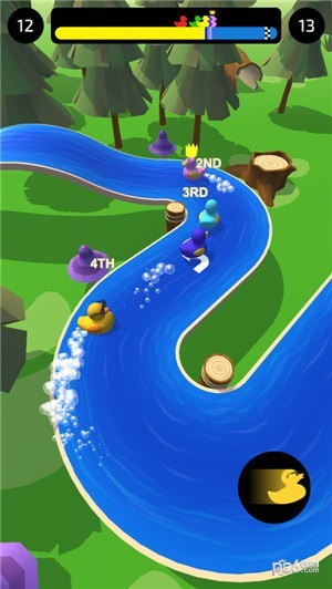 Duck Race