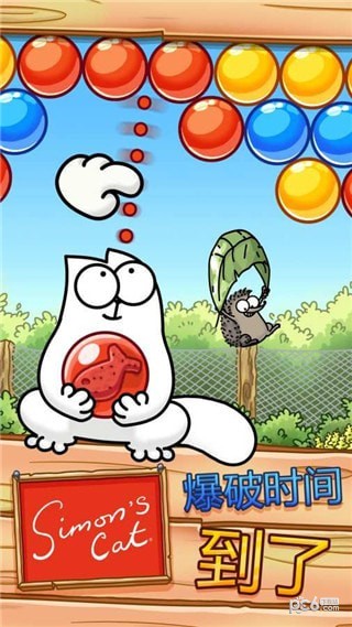 西蒙的猫