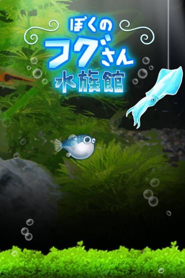 我的河豚鱼水族馆