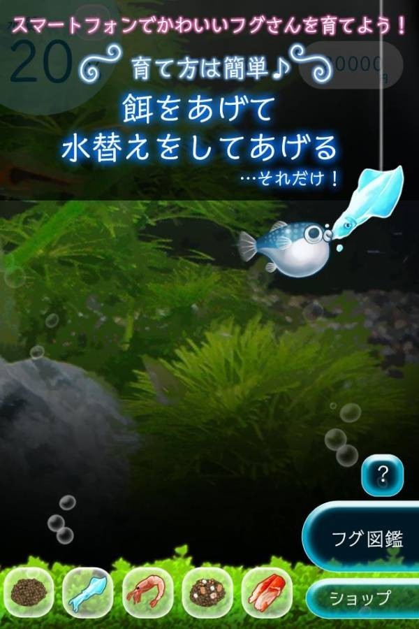我的河豚鱼水族馆