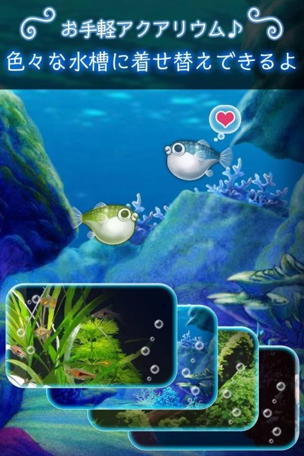 我的河豚鱼水族馆