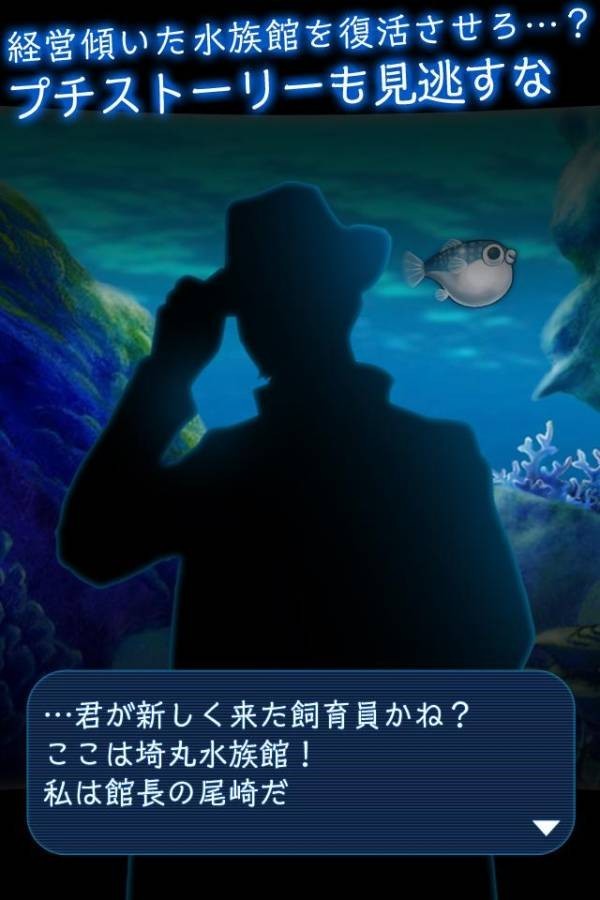 我的河豚鱼水族馆
