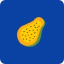 木瓜单词iOS