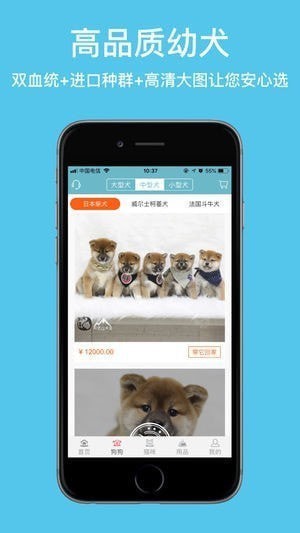 宝贝它app