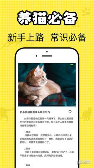 猫咪翻译官软件下载
