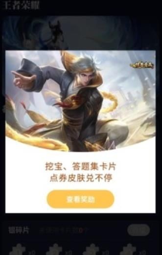 淘皮