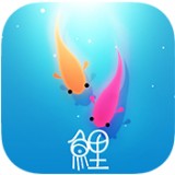 鲤 v1.1