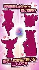 蛋蛋猫