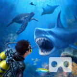 鲨鱼VR v3.3.6