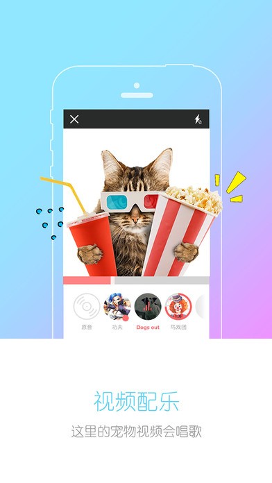 宠物秀app
