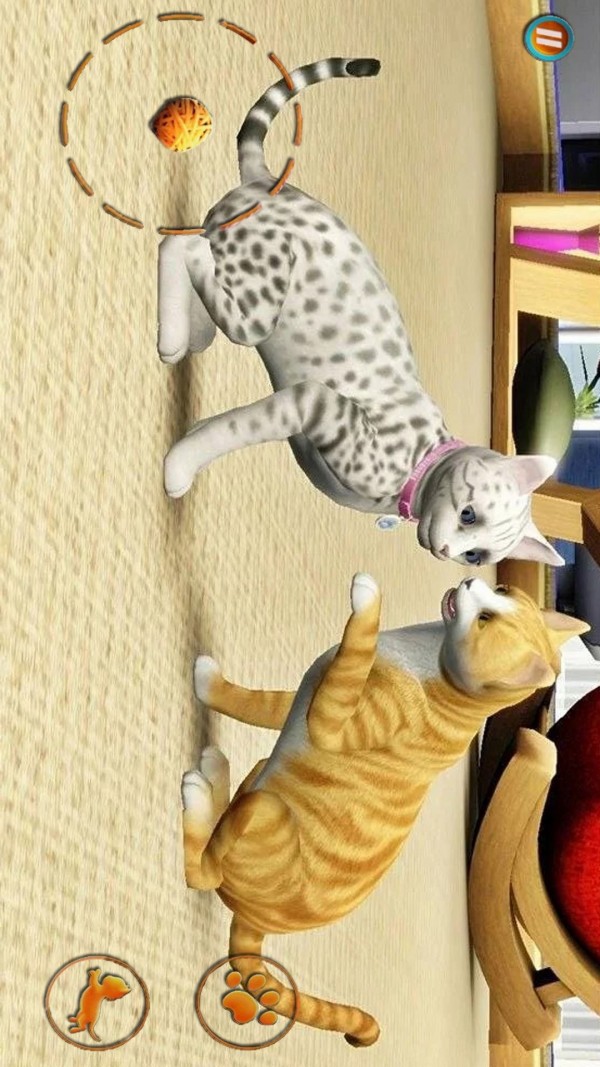 猫咪想恋爱
