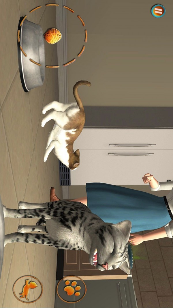 猫咪想恋爱