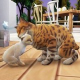 猫咪想恋爱 v300.1.0.3018