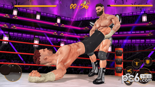 健美运动员拳击