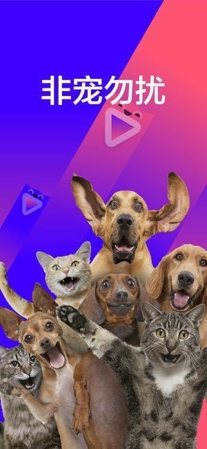 宠音短视频app