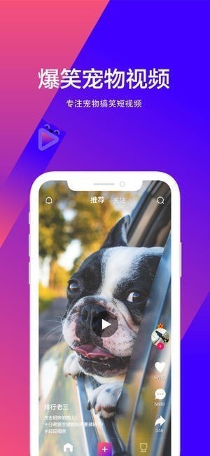 宠音短视频下载