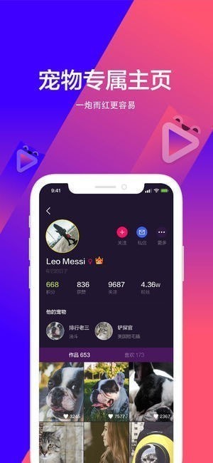 宠音短视频下载