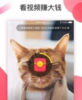 抖淘短视频 抖淘短视频