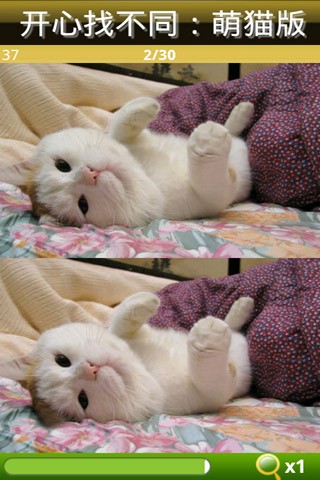 开心找不同-萌猫版 开心找不同-萌猫版