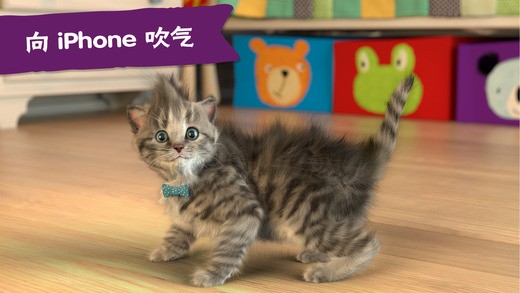 little kitten ios
