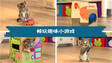 我最喜爱的猫猫免费下载