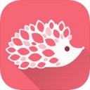 分子小视频