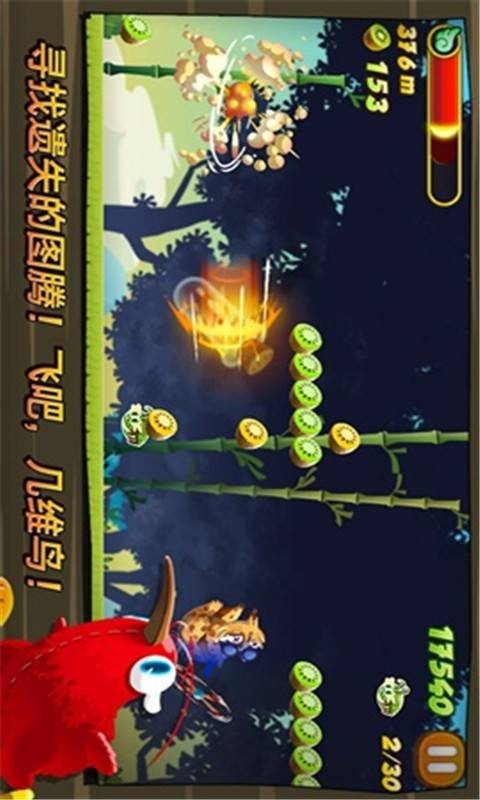 疯狂几维鸟