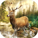 狩猎冲突修改直装版 v2.27