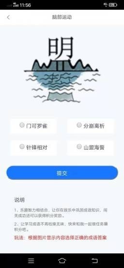 银凤