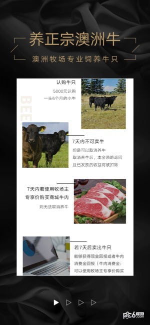 郑州口袋牧场app下载