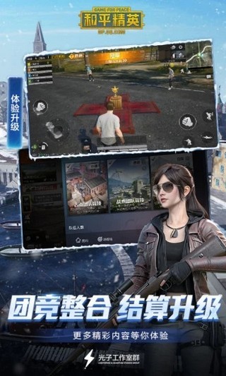 和平精英应用参数