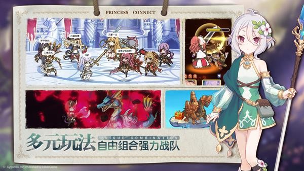 公主连接辅助工具 公主连接辅助工具