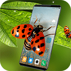 瓢虫恶作剧 v5.2.8