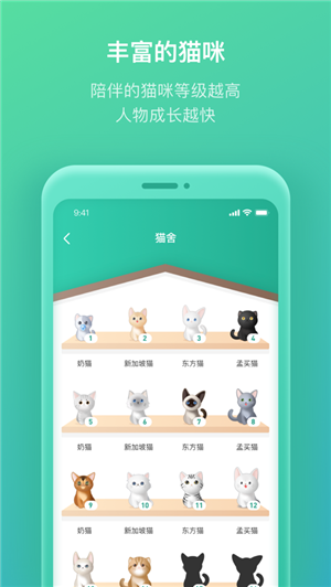 我的人生