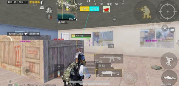 和平精英牛蛙辅助