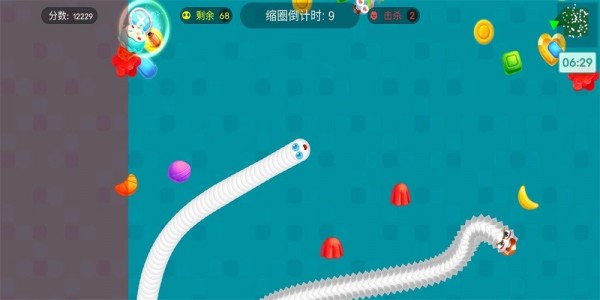 虫虫乐园 虫虫乐园