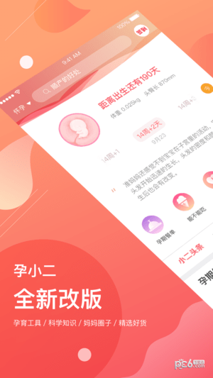 孕小二
