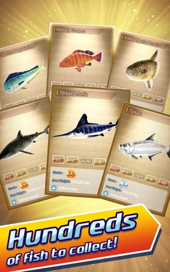 真实钓鱼2014 真实钓鱼2014