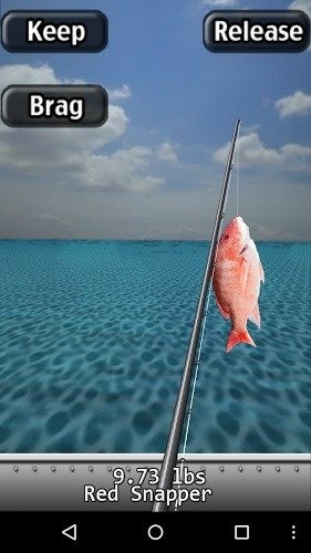 我钓鱼海水精简版