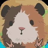天竺鼠农场 v0.1.2