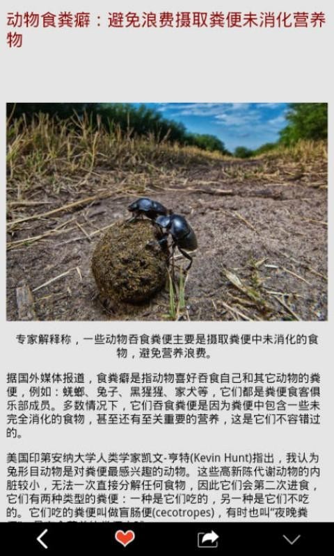 黑洞表面